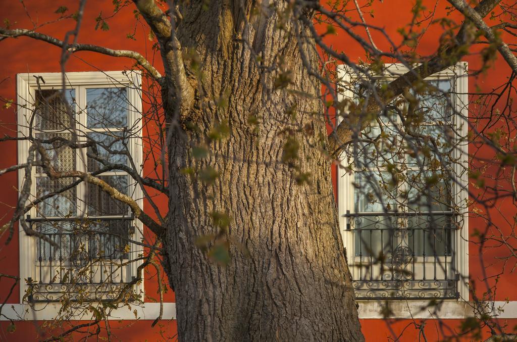 Готель Casona De La Paca Кудільєро Екстер'єр фото